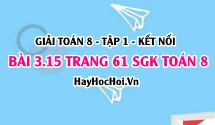 Giải bài 3.15 trang 61 Toán 8 Tập 1 SGK Kết nối tri thức